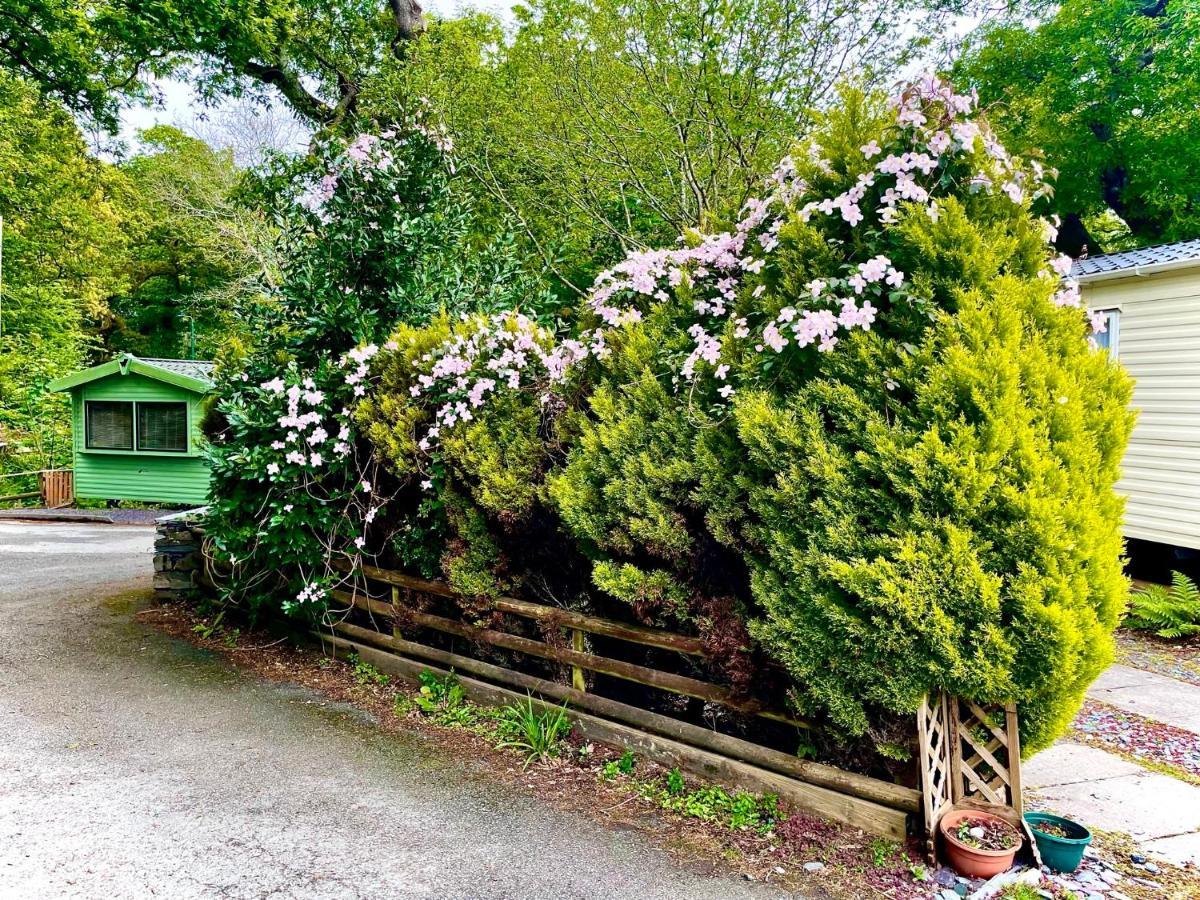 Snowdonia Holidays Caravan Hire - Aberdunant Park - 34 The Green Prenteg Bagian luar foto