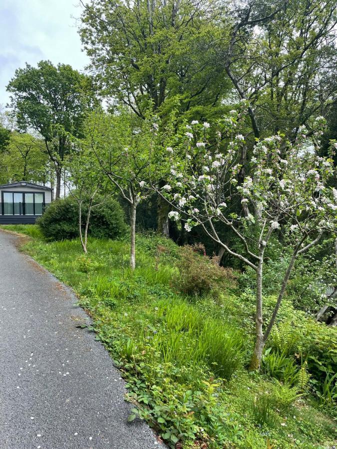 Snowdonia Holidays Caravan Hire - Aberdunant Park - 34 The Green Prenteg Bagian luar foto